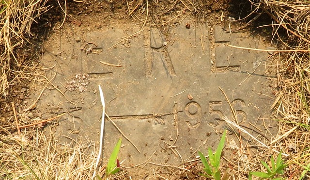 plaques\lot331_8.jpg